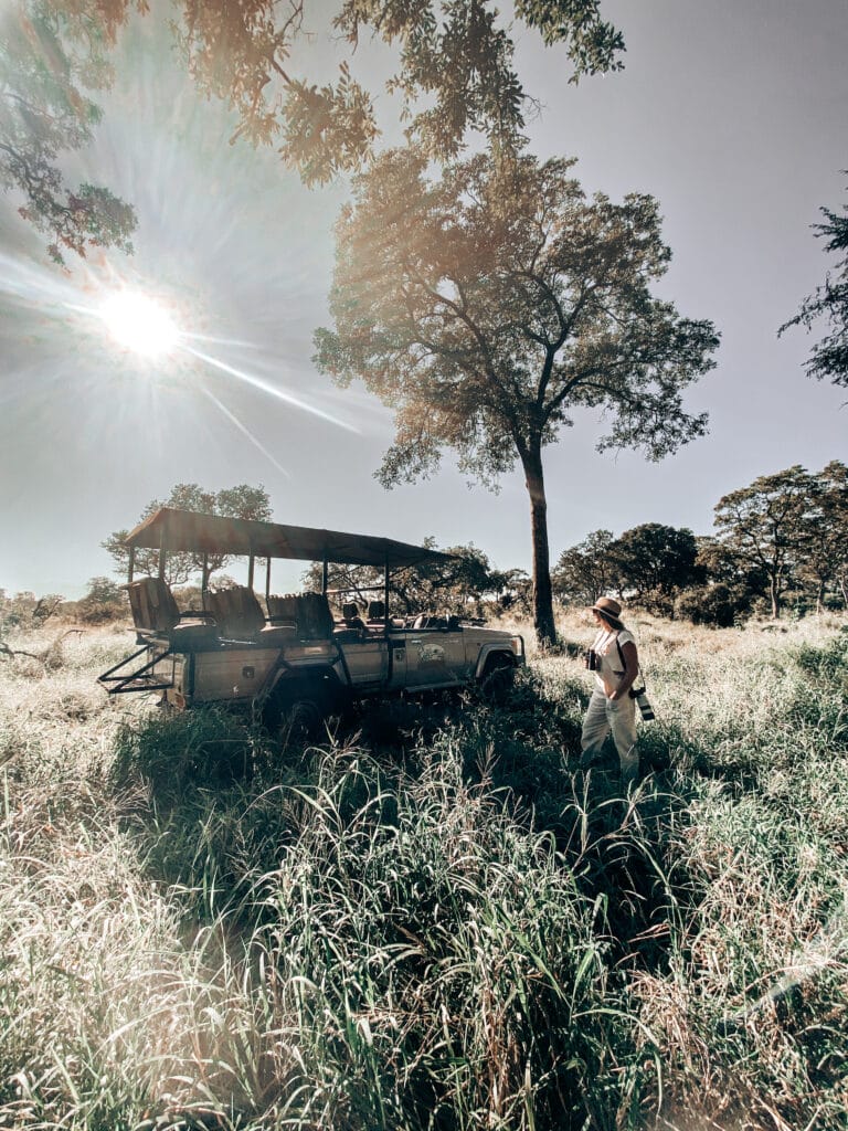 5 Day Khoka Moya Luxury Safari